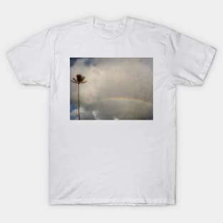 Palm Tree and Rainbow T-Shirt